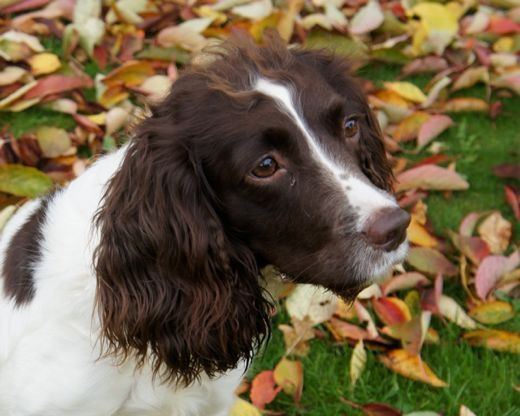 b7941aa3504c6856eda9ce6f6a1f9b1a