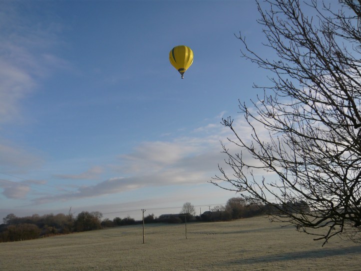 Beautiful but the must have been frozen !