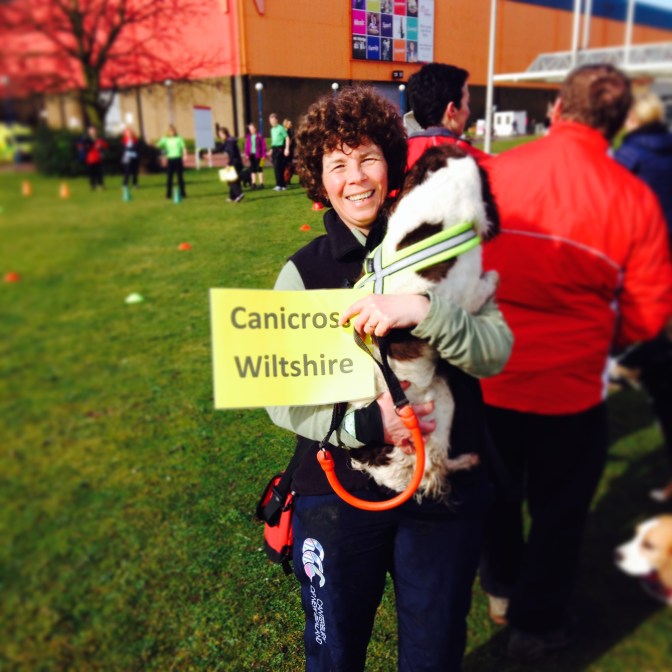 Spaniel cuddles at practise 