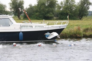 Swans flyby throughout the race